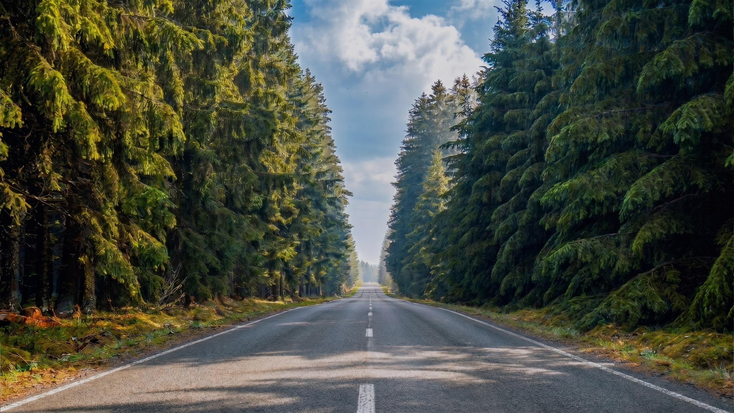 VAT Compliance in more than 50 countries