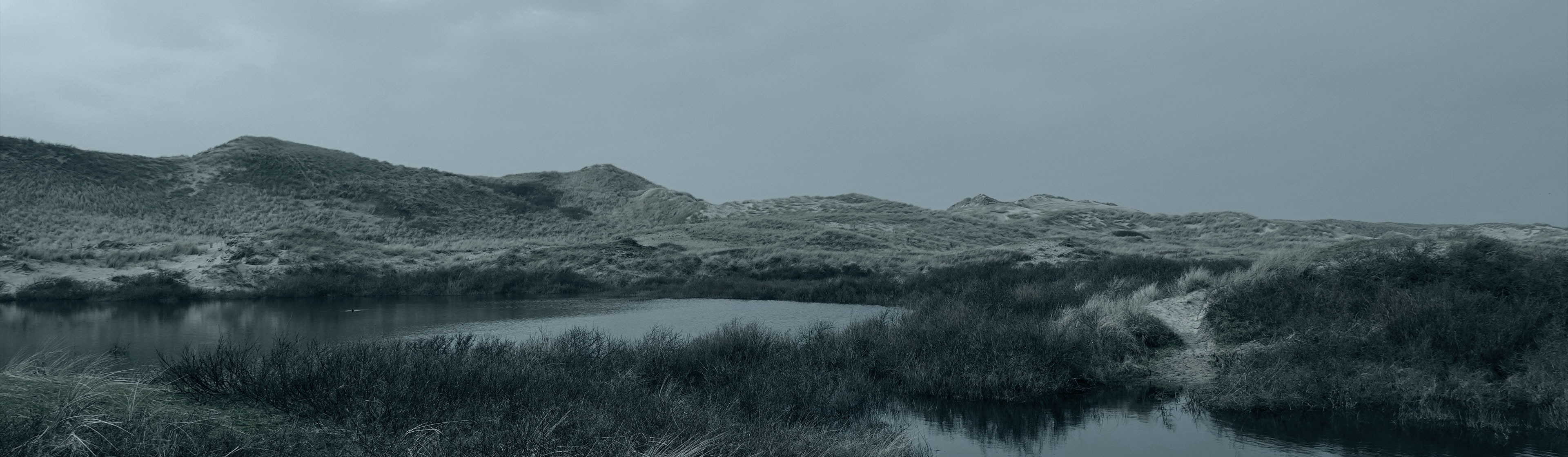 BTW teruggave Nederland