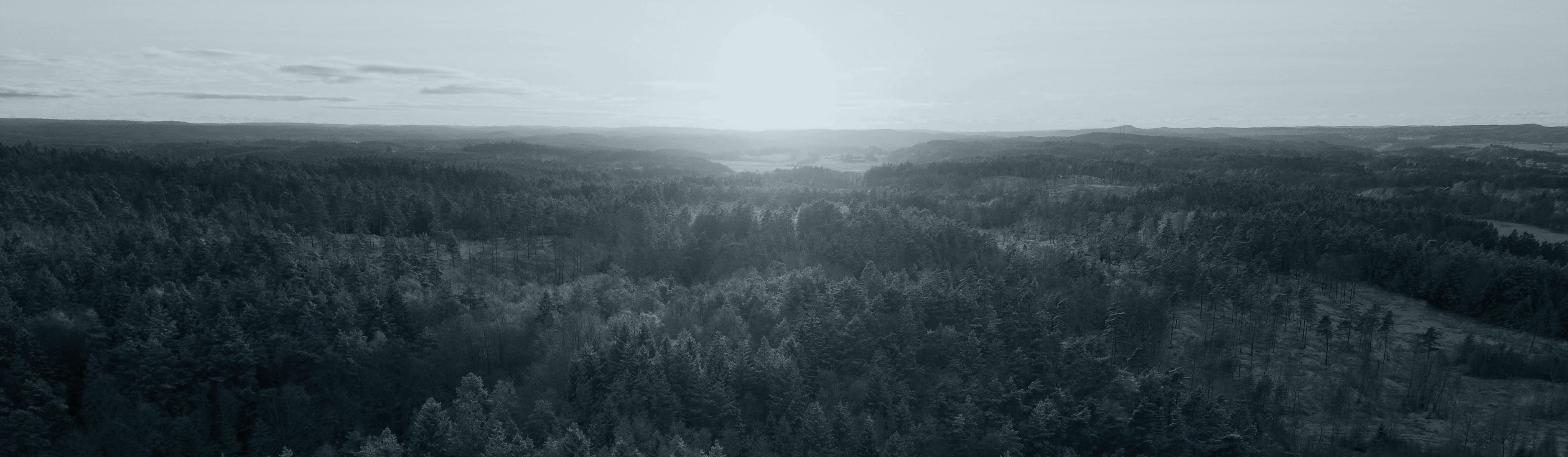 BTW-registratie en BTW-aangiften in Finland