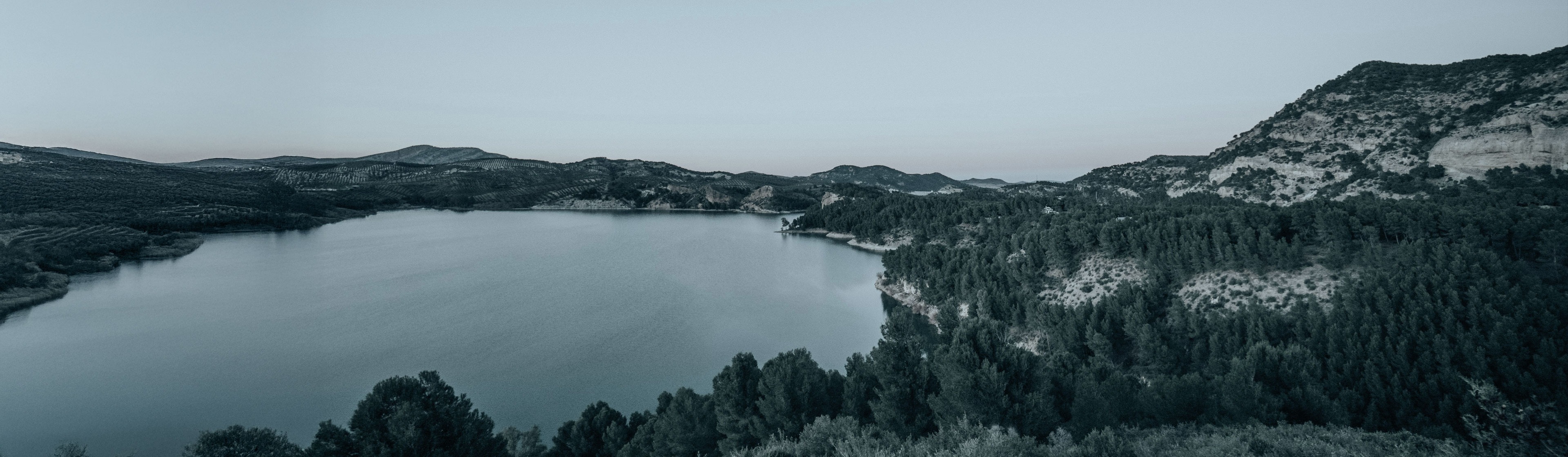 BTW-registratie en BTW-aangiften in Estland