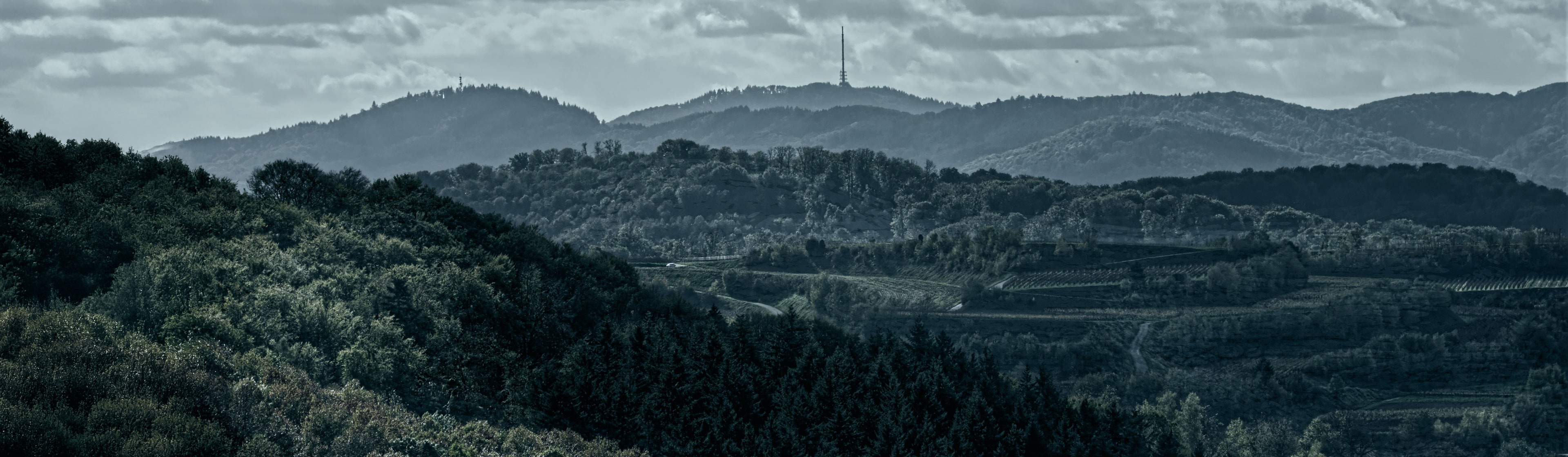 VAT Registration and VAT returns in Luxembourg